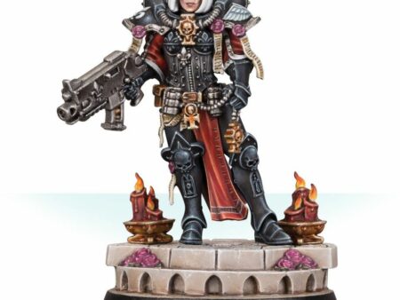 Sister  Superior Amalia Novena (Web Only)