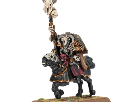 Hexer des Chaos auf Chaosross